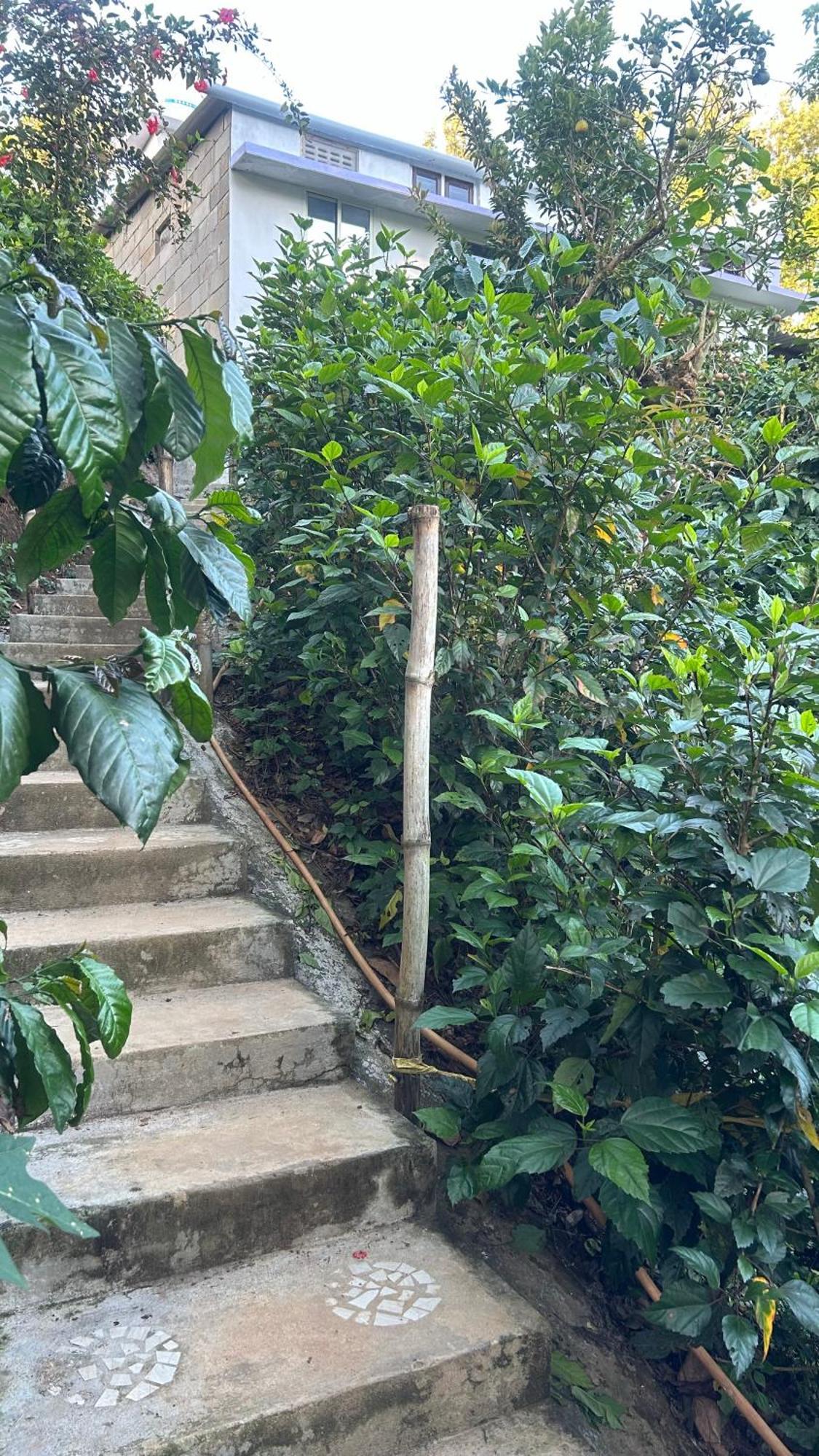 Doddakallu Betta Homestay Coorg Somvārpet Exterior foto